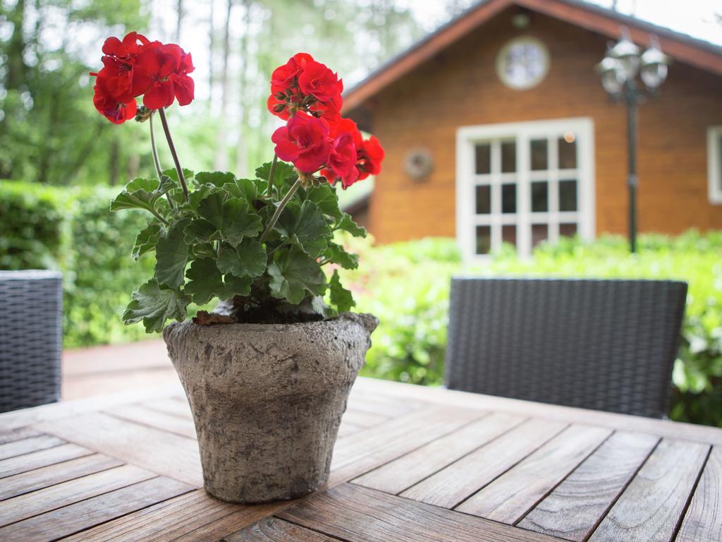 Willa Luxurious Chalet In Oud Turnhout With Large Garden Oud-Turnhout Zewnętrze zdjęcie