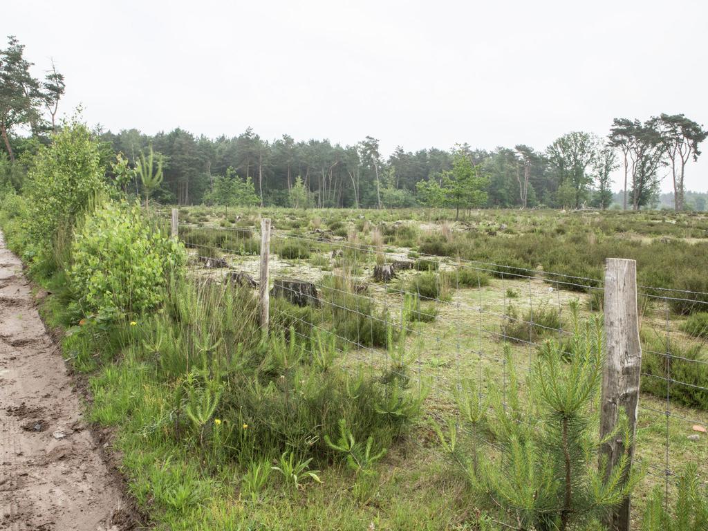 Willa Luxurious Chalet In Oud Turnhout With Large Garden Oud-Turnhout Zewnętrze zdjęcie